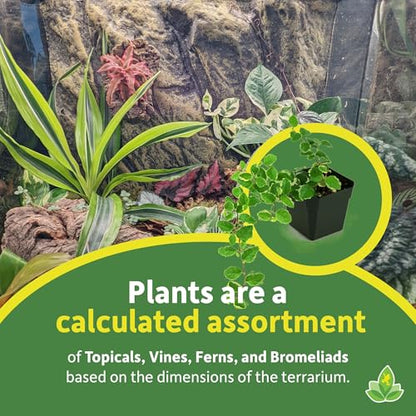 Josh's Frogs 29 Gallon Tropical Vivarium Plant Kit - size: 29 Gallon