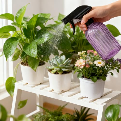 Glass Handheld Spray Bottle, 13.5oz, Purple, Adjustable Nozzle | Pressure Watering Can, Plant Mister Fine Mist for Indoor Flowers, Outdoor Gardening, Cleaning, Pets Care, Hair - color: Purple