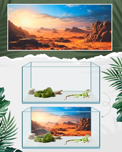 4 Pcs 24 x 11.8 Inch Reptile Habitat Background with Nano Glue Gobi Sun Cactus Stone and Green Tree Fern Stream Terrarium Background Polyester Durable Aquarium Accessories - color: Style1, size: 24 x 11.8 Inch