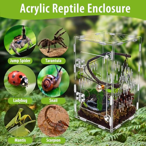 Jumping Spider Enclosure, Large Acrylic Praying Mantis Habitat, 10"*6"*6" Ventilated Insect Terrarium Cage with Front Opening Door for Small Retiles - Arboreal Tarantula, Snails, Bug, Lizard - size: Medium-10''x6''x6''