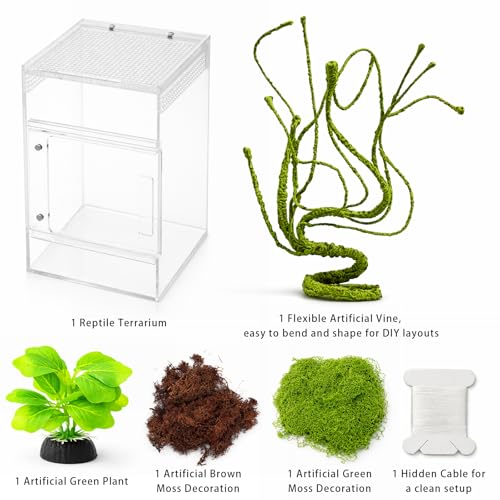 Jumping Spider Enclosure Kit, Waterproof Clear Acrylic Spider Terrarium, Front Opening + Top Access, Ventilated Insect Habitat with Moss Vine, Green Plant, 2 Moss Packs & Invisible Line (6-Piece Set)