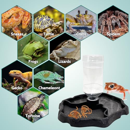 9oz Reptile Water Bottle, Turtle Food and Water Bowl Automatic Feeders Waterer Tortoise Dispenser Bottle Feeding Dish for Lizard Chameleon - color: Black