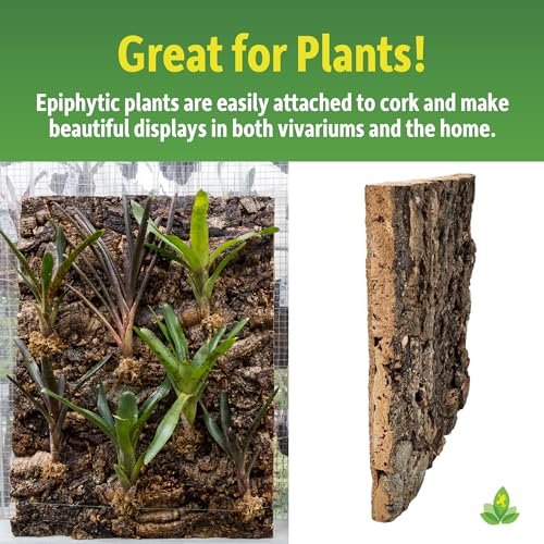 Josh's Frogs Natural Virgin Cork Sheet Terrarium Background (12x12) - size: Small 12"x12"