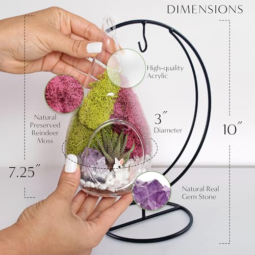 Creations by Nathalie DIY 7" Teardrop Terrarium Kit DIY Terrarium Kit with Live Succulent & Moss, Glass Terrarium Kit for Adults & Teens, Terrarium Moss Kit with Crystals, Handcrafted in the USA - color: Customizable Glass