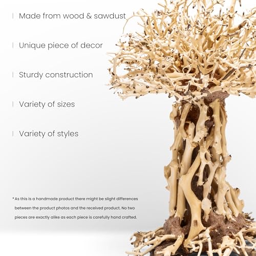 Ultum Nature Systems Bonsai - Handcrafted Hardscape Driftwood for Aquarium, Terrarium, Vivarium, Natural Aquascape Hardscape Decorations, Aquascaping Hardscape for Live Aquatic Plants - 007, Small