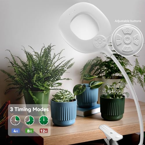 2 Packs Plant Growing Lamp, LED Pot Clip-on Plant Light for Growing | Full Spectrum Plant Light with Remote, 4/8/12H Timer, 10 Level Dimmable for Small Plants Succulents Seedlings - size: 2 Pack