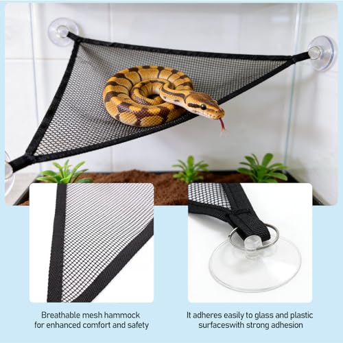 Snake Reptile Enrichment Ball & Hammock Combo, Durable Climbing Gym with Secure Chain - Fun Exercise & Resting Toy for Small Pet Snakes Including Python & Corn Snake Terrariums (Large, Orange)