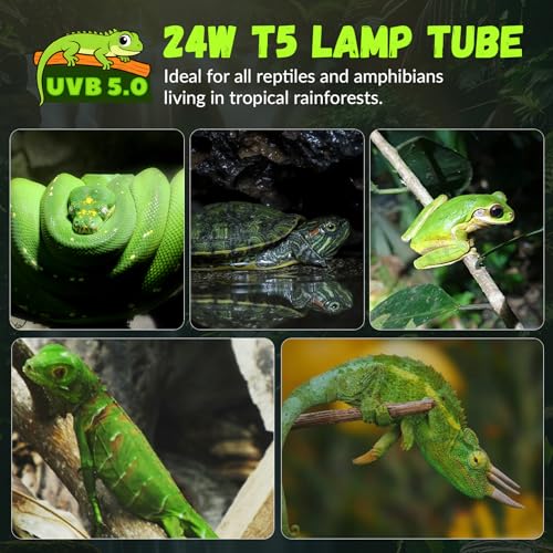 GlowUp 22inch 24W T5 5.0 UVB Light for Reptiles Light Fixture Combo Kit Reptile Lamp Tube Terrarium Hood UVB Light for Bearded Dragon Rainforest Dwelling Reptiles, Chameleons, Iguanas, Turtles