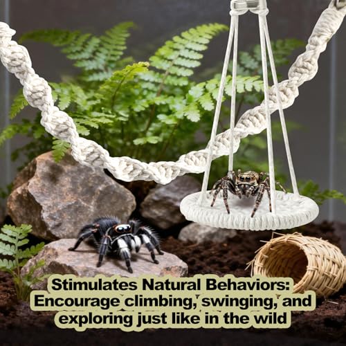 5 PCS Jumping Spider Rope Bridge Swings Set，Jumping Spider Webbed Moss Ribbon Tarantula Enclosure Accessories Natural Cotton Rope Handmade Pet Tiny Animals Enclosure Decorations - size: Style A