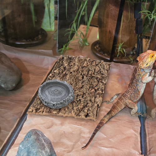 SUPVOX Reptile Food Container and Water Dish Resin Feeder Small Tortoise Feeding Bowl Multi-Function Pet Food Storage Basin for Terrarium Use