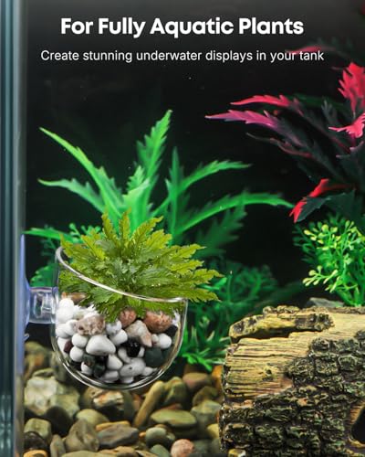 Pawfly 2 Pcs Aquarium Plant Holder, Fish Tank Plant Pot for Aquascape Decoration, Red Worm Fish Feeder, Aquarium Planter Cup with Suction Cup, Clear. - size: 2 Pack