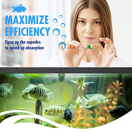 BESEDER Biocapsules Fish Tank Water Cleaner, Biostarter, 10-Capsule Pack Provides Up to 6 Months of Water Care for 20-25 Gallon Freshwater & Sea Aquariums, Helps Break Down Inanimate Organic Waste - size: FTWC