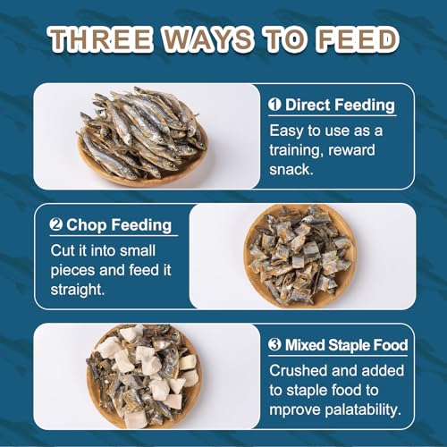 Dried River Fish Minnows, High-Protein Reptile Food, 5.5 oz | Single ingredient, no additives, whole-fish pieces, suitable for turtles, bearded dragons, tropical fish, amphibians and cats