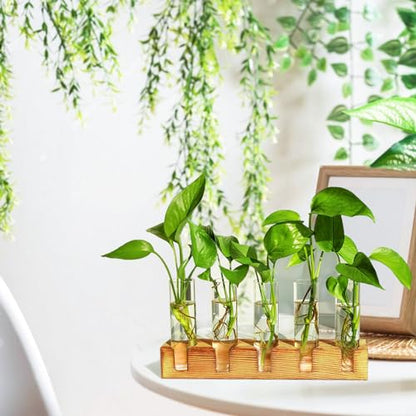 Plant Propagation Station, 10 Glass Test Tube with Wooden Stand | Plant Terrarium for Hydroponics Plants Office Decor Unique Gardening Gifts for Women Plants Lovers - size: 10 Test Tube
