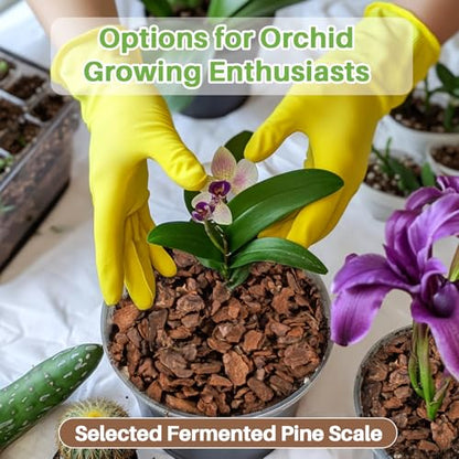 Sukh 8OZ Orchid Bark Planting Soil - Orchid Potting Mix (5-12 MM) | Horticultural Cypress Mulch Horticulture Dryad Pine Bark Natural Wood Chips for Plants Garden Orchid Medium Indoor Plant