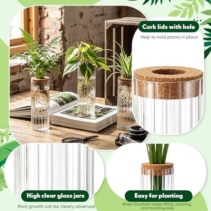 6 Set Propagation Station Jar Desktop Glass Planter Station Flower Vases Water Terrarium Jar with Cork Lid for Propagating Flower Plants Centerpiece Office Home Garden Decor(Large) - size: Large