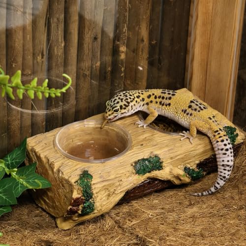 Tfwadmx Magnetic Reptile Feeder Ledge, Gecko Feeder Ledge with 6 Cups Reptile Feeding Bowls Food Dish Water Bowl Tank Accessories for Lizards Chameleons Frog - color: Yellow