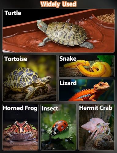 Tortoise Water Bowl with Ramp, 3PCS Leaf Reptile Food Water Bowl Turtle Pool Reptile Water Dish Tortoise Bathing Pool Turtle Soaking Dish Aquarium Habitat Accessories Large - size: Large