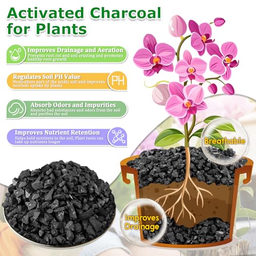 10QT All Natural Horticultural Charcoal- Activated Hardwood Plant Charcoal for Soil Amendment, Conditioning Bonsai Soil, Succulent, Terrarium Supplies, Indoor Plant Potting Soil - color: 10 QT
