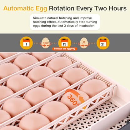 Sailnovo 48 Egg Incubator for Hatching Eggs with Auto Egg Turning, Precision Temp & Humidity Control, 360°Viewing, Egg Candler, Incubator for Chicken Eggs/Duck/Quail,Ideal for Farm/School/Lab,Gray | Precise Temp & Humidity Control，Auto Egg Turning, 360°Vi