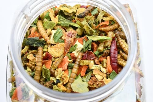 T-Rex Bearded Dragon Food Gourmet Blend – All-Natural Dried Vegetables & Insects, Protein-Included Plant-Based Reptile Diet, Easy to Prepare, 4 oz