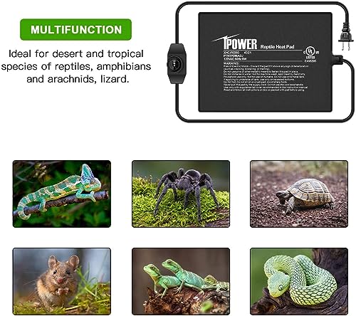 iPower 6 by 8 Inch Reptile Heating Pad with Temperature Adjustable Controller Knob, Under Tank Warmer Terrarium Heat Mat for Reptiles and Amphibians (Pack of 2) - size: 6 X 8 Inch (Pack of 2)