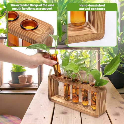 Glass Plant Propagation Station with 5 Test Tubes Colorful Planter Vase | Birthday Gifts for Women in Wooden Stand - color: Amber