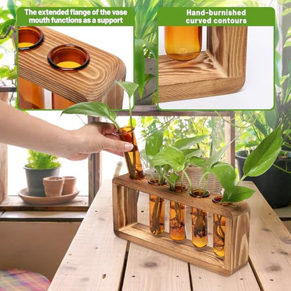Glass Plant Propagation Station with 5 Test Tubes Colorful Planter Vase | Birthday Gifts for Women in Wooden Stand - color: Amber
