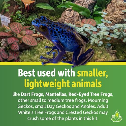 Josh's Frogs 29 Gallon Tropical Vivarium Plant Kit - size: 29 Gallon