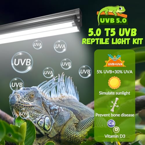 GlowUp 22inch 24W T5 5.0 UVB Light for Reptiles Light Fixture Combo Kit Reptile Lamp Tube Terrarium Hood UVB Light for Bearded Dragon Rainforest Dwelling Reptiles, Chameleons, Iguanas, Turtles