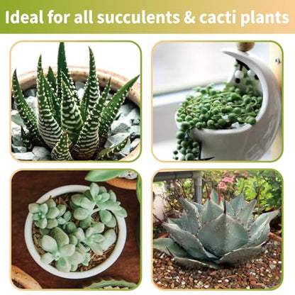 Succulent & Cactus Soil Potting Mix 10qt, Chunky Dirt with Fast Draining Fits for Bonsai, Terrarium and Houseplant - color: Succulent & Cactus Soil, size: 10qt
