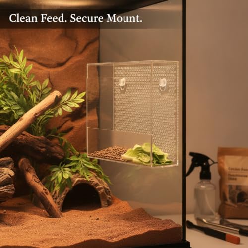 Clear Acrylic Wall-Mounted Feeding Dish with Suction Cups for Glass Terrariums, Reptile Food Bowl