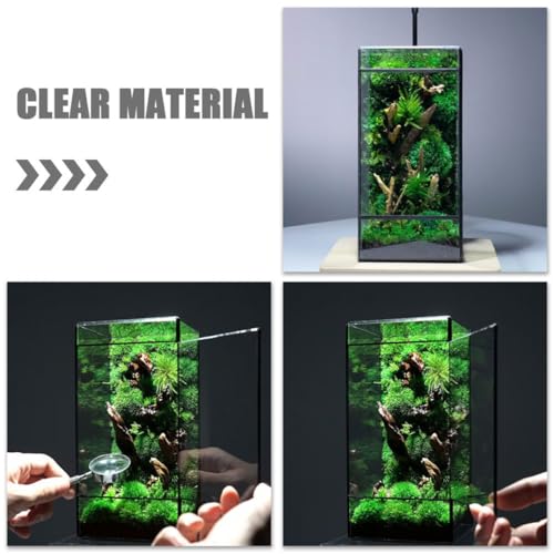 BESTonZON Handcrafted Geometric Glass Terrarium for Succulent Plants Indoor Micro Landscape Planter Box with Moss Ecological Holder Mini Rainforest Ecosystem for Living Room Tabletop Decor