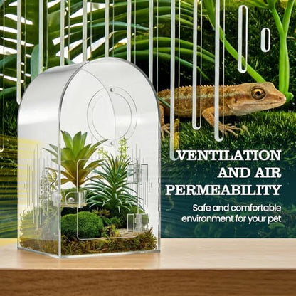Jumping Spider Enclosure Kit, Clear Acrylic, No Assembly Needed | Micro-vent airflow, 360-degree view, Pre-assembled, Magnetic feeding dish, Tweezers included, For spiderlings and mantises