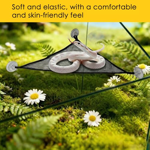 Snake Reptile Enrichment Ball & Hammock Combo, Durable Climbing Gym with Secure Chain - Fun Exercise & Resting Toy for Small Pet Snakes Including Pythons & Iguanas, Anoles, Geckos, Snakes, Chameleon