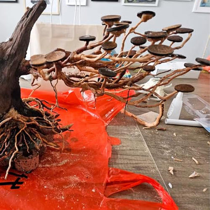Natural Aquarium Driftwood, [170g] ( 20–40 cm /8–16 in) - Unique Root/Spider Wood Branches for Aquascaping, Planted Tanks & Terrariums, Fish & Plants Decoration, Each Piece One-of-a-Kind (Roots Only) - style: Roots Only
