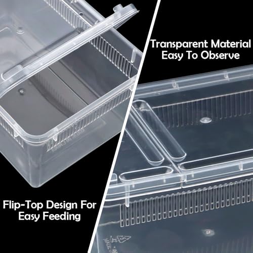 5 Pack Small Reptile Terrarium Breeding Box Transparent Hatching Container Plastic Feeding Box for Gecko Frog Spider Scorpion Centipede Insect