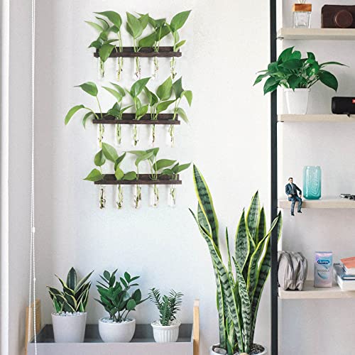 Wall Hanging Plant Propagation Station 15 Glass Test Tubes - Brown | 3 Tiered Vase Planter for Hydroponic Home Garden Office Decor, Gardening Gifts for Women Plant Lover - size: 3 Tiers - 15 Vases