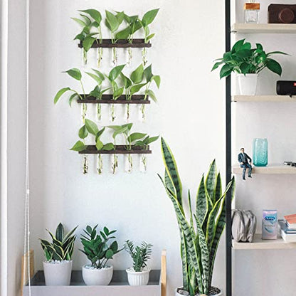 Wall Hanging Plant Propagation Station 15 Glass Test Tubes - Brown | 3 Tiered Vase Planter for Hydroponic Home Garden Office Decor, Gardening Gifts for Women Plant Lover - size: 3 Tiers - 15 Vases
