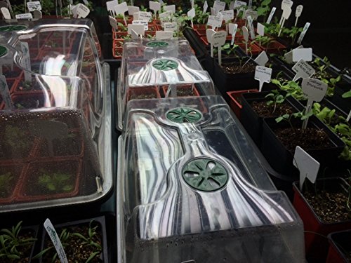 70738 Medium Domed Propagator, 15" x 9" x 7", Black/Dark Green - size: Medium without Extenders