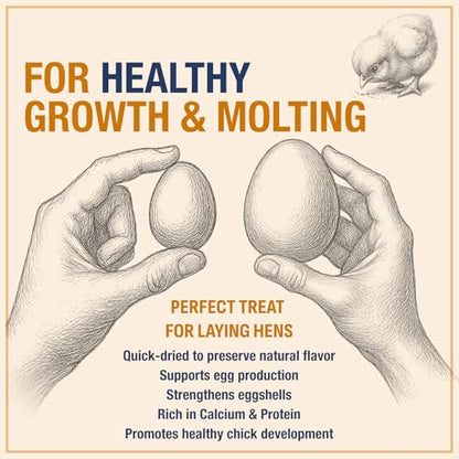 USA Grown Black Soldier Fly Larvae for Chickens - 100% Natural Dried Mealworms for Chickens - Grubs with 75X More Protein Chicken Treats for Laying Hens - Birds Feed Supplement for Ducks & Reptiles - size: 1 Pound (Pack of 1)