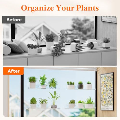 Lifewit Window Plant Shelves 14.6", 2 Pack Acrylic Suction Cup Holder | No-Drill Window Sill Extender for Indoor & Outdoor Micro Greens, Clear Floating Shelf for Bathroom Mirror, or Kitchen Wall