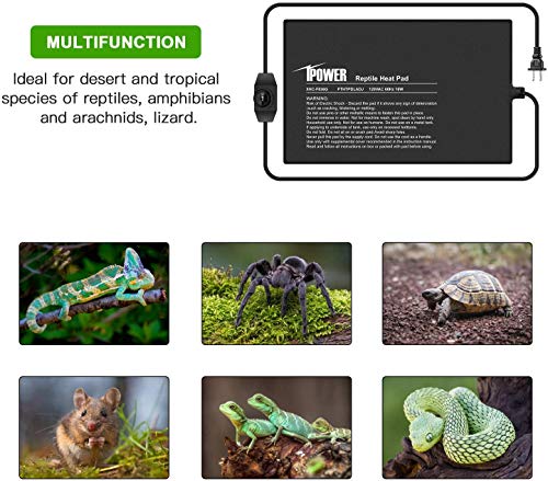 iPower 8"x12" Under Tank Warmer Heating Pad Terrarium Heat Mat with Temperature Adjustable Controller, Thermometer and Hygrometer with Temperature and Humidity Probe for Amphibian and Reptile - size: 8 X 12 Inch, style: Adjustable Pad + Thermo & Hygromete
