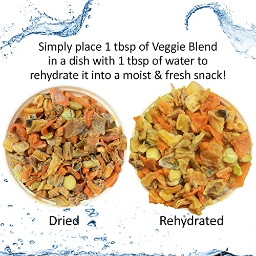 Exotic Nutrition Squirrel Food Starter Package - Includes Nutritionally Complete Diet, Natural Treats & Healthy Vitamin Supplements - for Grey Squirrels, Ground Squirrel, Chipmunks, Flying Squirrels