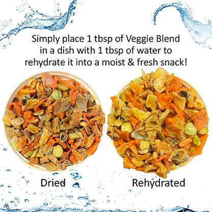 Exotic Nutrition Squirrel Food Starter Package - Includes Nutritionally Complete Diet, Natural Treats & Healthy Vitamin Supplements - for Grey Squirrels, Ground Squirrel, Chipmunks, Flying Squirrels