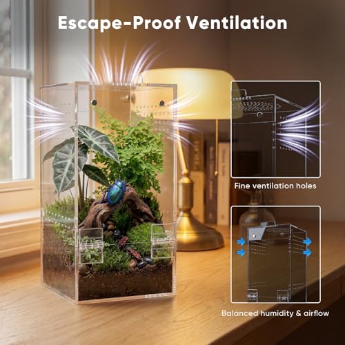 4"×4"×8" Ready-to-Use Acrylic Jumping Spider Enclosure No Assembly Needed | 360° Ventilation, Mini Reptile Terrarium for Jumping Spider, Mantis, Snail – Ideal for Desk, Living Room & Bedroom
