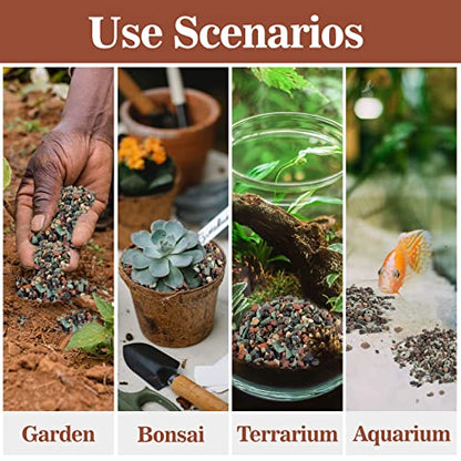 Sukh Mix Horticultural Lava Pebbles - Cactus Potting Soil Amendment 1LB | Horticultural Rocks, Succulent Cactus Bonsai Soil Rocks for Terrarium Plants, Decorative Gravel Plant Drainage Rock, 1LB