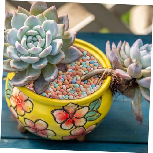 Ceramsite Gardening Decor Hydro Ceramsite Balls for Succulent Cactus Surface Decoration Air Permeable Horticultural Rocks for Use
