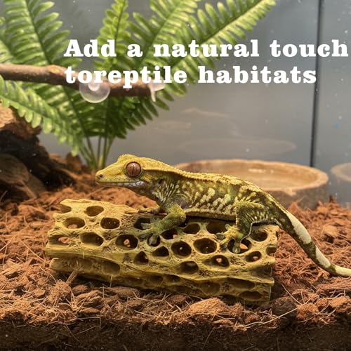 Natural Cholla Wood for Aquarium - 6 Inch Hollow Log Shrimp Hideout, Hermit Crab Climbing Toy, Realistic Driftwood Decor for Fish Tank, Reptile Terrarium Branch Ornament (2 Pack)