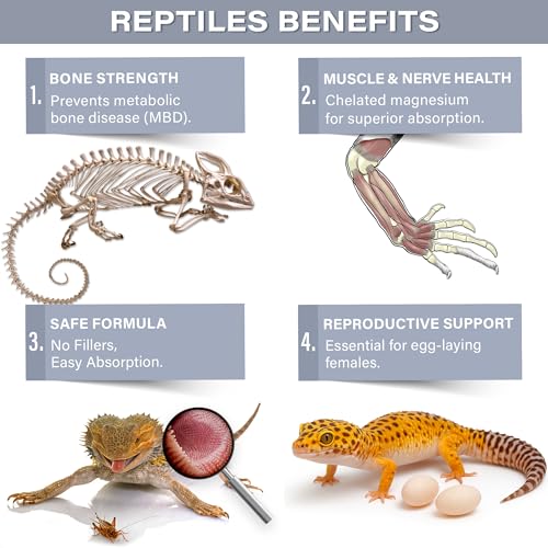 Gargeer 3oz Magnesium & Calcium Supplement for All Reptiles. Made in USA | Dual mineral support with 5× absorbable chelated magnesium & calcium! Supports bone, nerve & muscle health in reptiles
